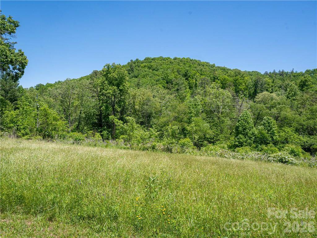 99999 Merrills Cove RD #1 & 3, Asheville, NC 28803