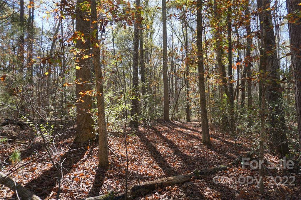 10.64 AC Burree RD #6, Clover, SC 29710