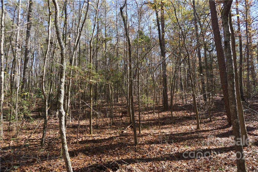 10.64 AC Burree RD #6, Clover, SC 29710