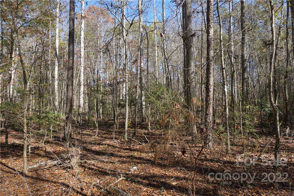 10.64 AC Burree RD #6, Clover, SC 29710