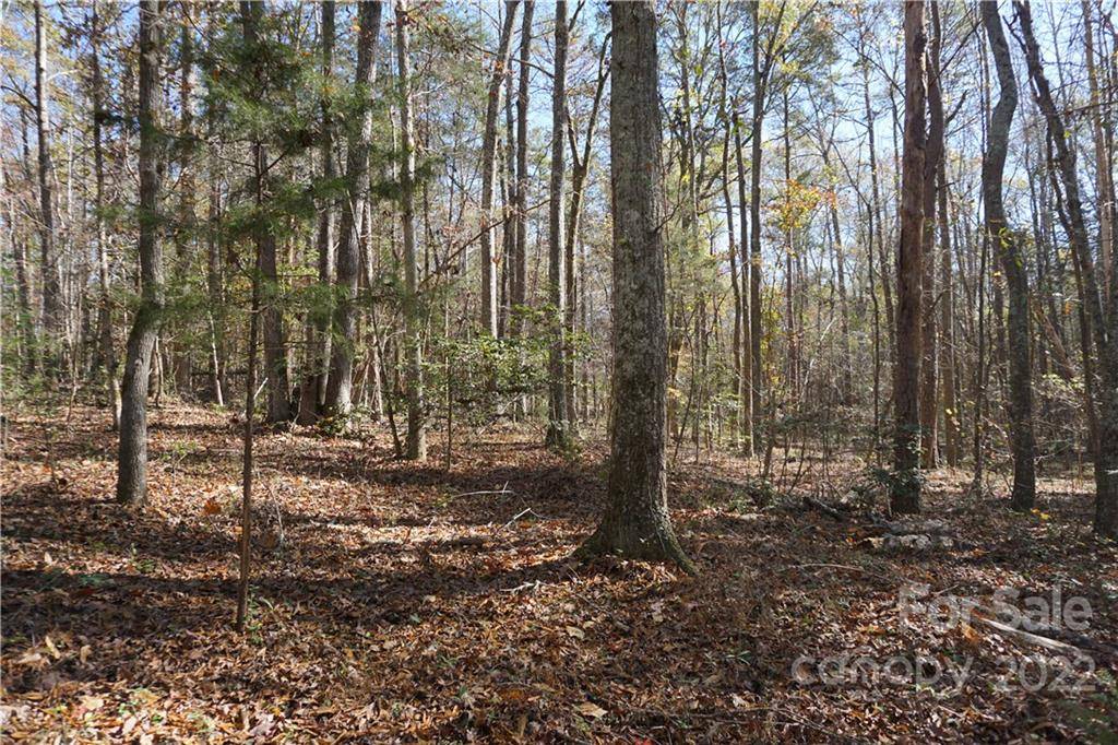 10.64 AC Burree RD #6, Clover, SC 29710