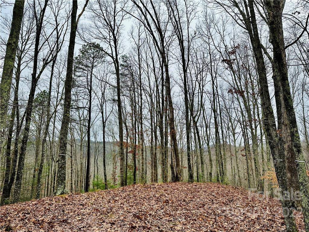 921 Wild River RUN #33, Marshall, NC 28753