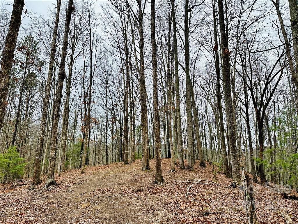 921 Wild River RUN #33, Marshall, NC 28753