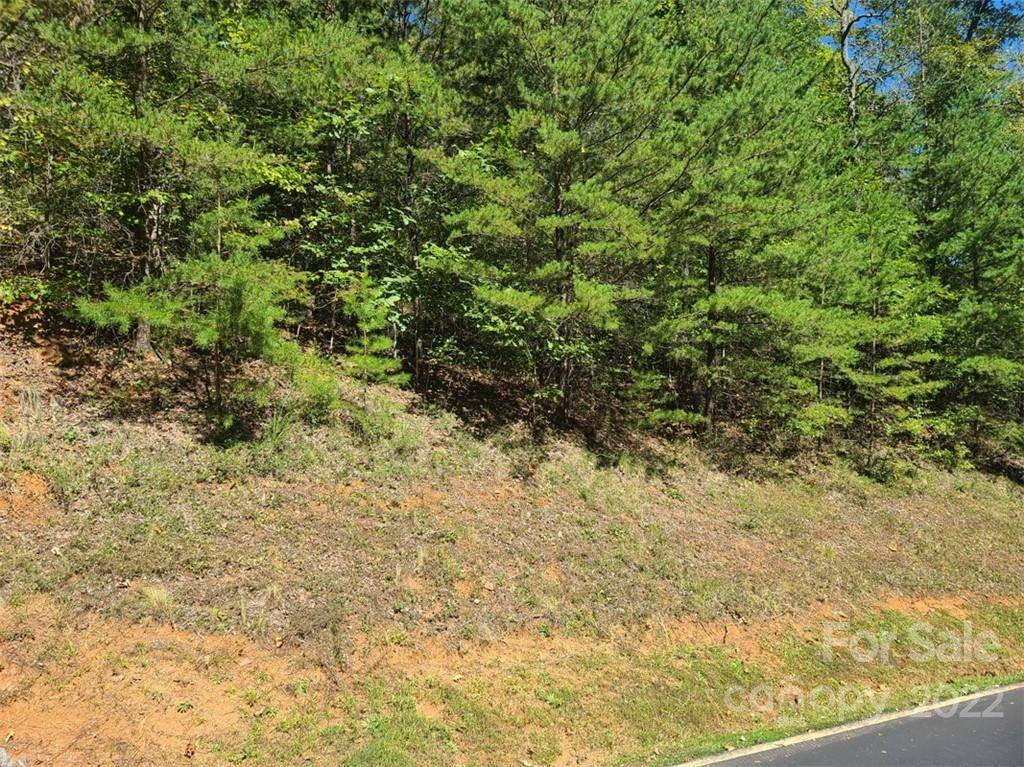 00 Rock Ledge DR #305, Lake Lure, NC 28746