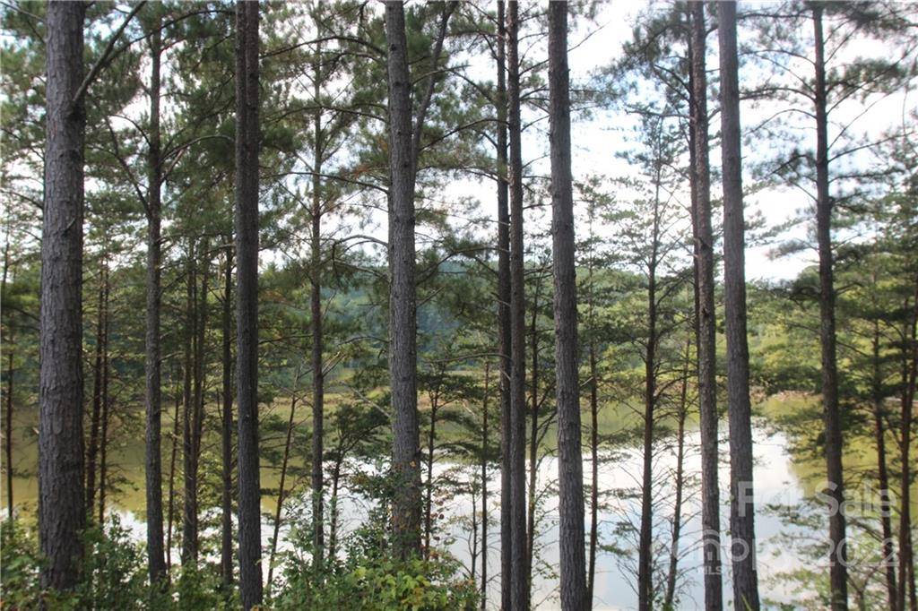 2038 Inlet Shore RD NE #24, Connelly Springs, NC 28612