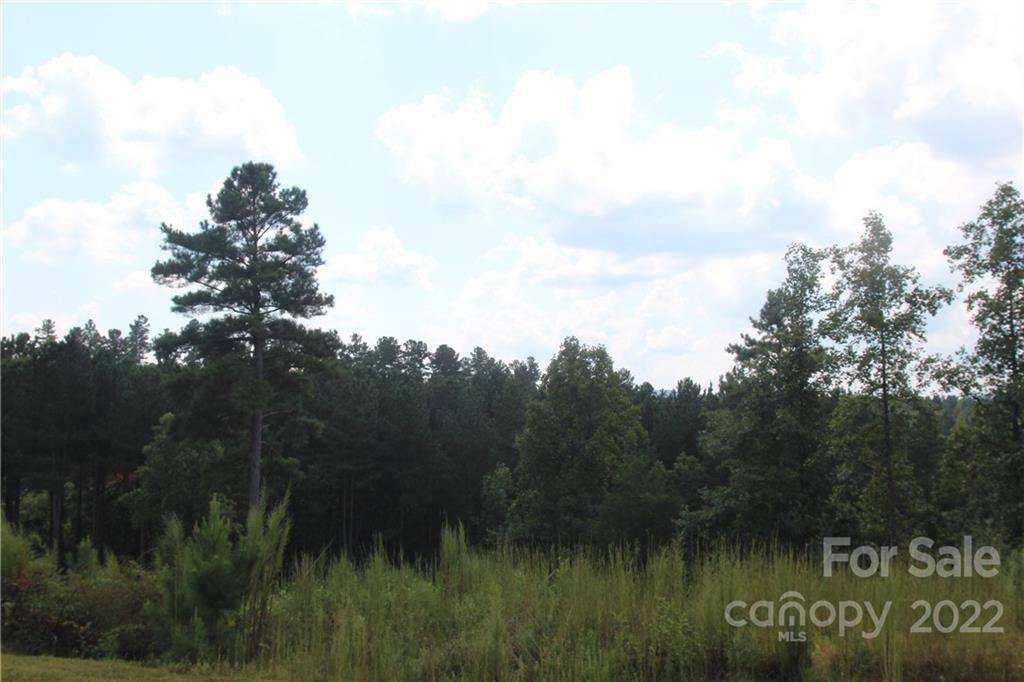 2048 Inlet Shore RD NE #25, Connelly Springs, NC 28612