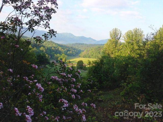Lot 19 Sunkota TRL, Bryson City, NC 28713