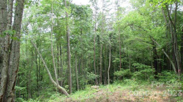 Lot 37 Deeplow Gap None, Bryson City, NC 28713
