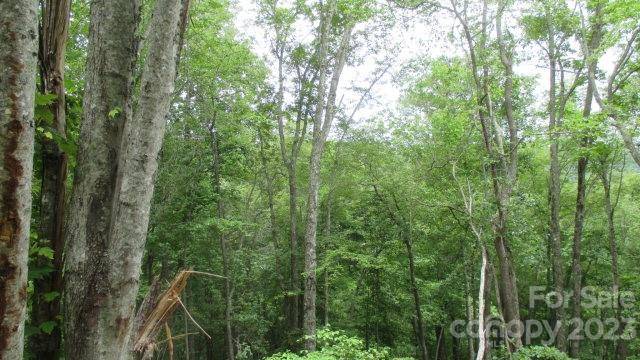 Lot 37 Deeplow Gap None, Bryson City, NC 28713