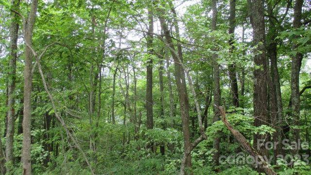 Lot 37 Deeplow Gap None, Bryson City, NC 28713