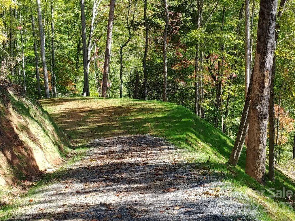 Lot 45 Thomas Divide WAY, Bryson City, NC 28713