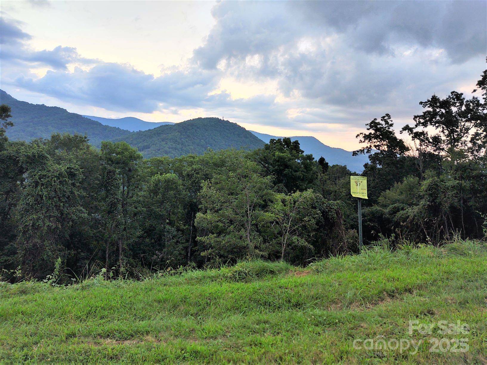 37 Rons RDG, Waynesville, NC 28785