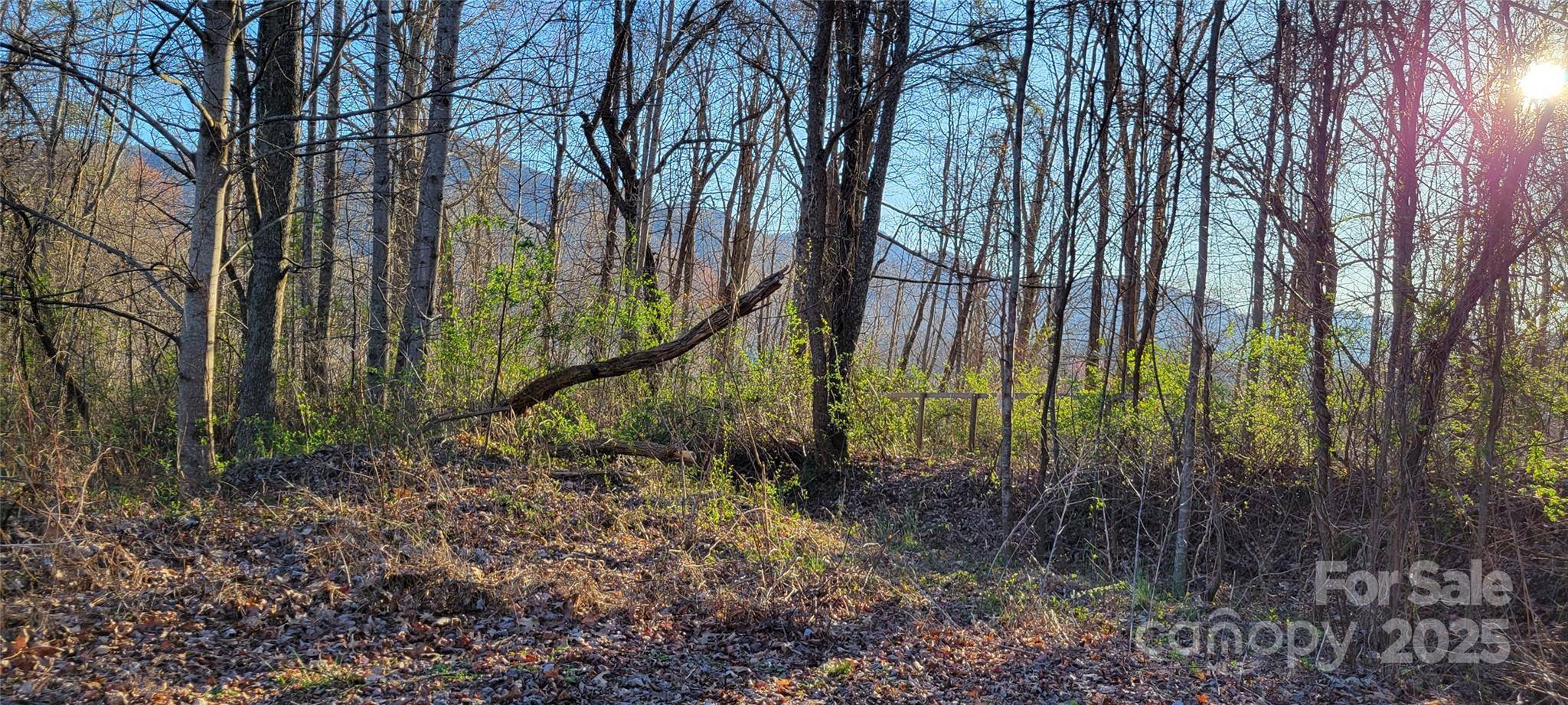 40 Rons RDG, Waynesville, NC 28785