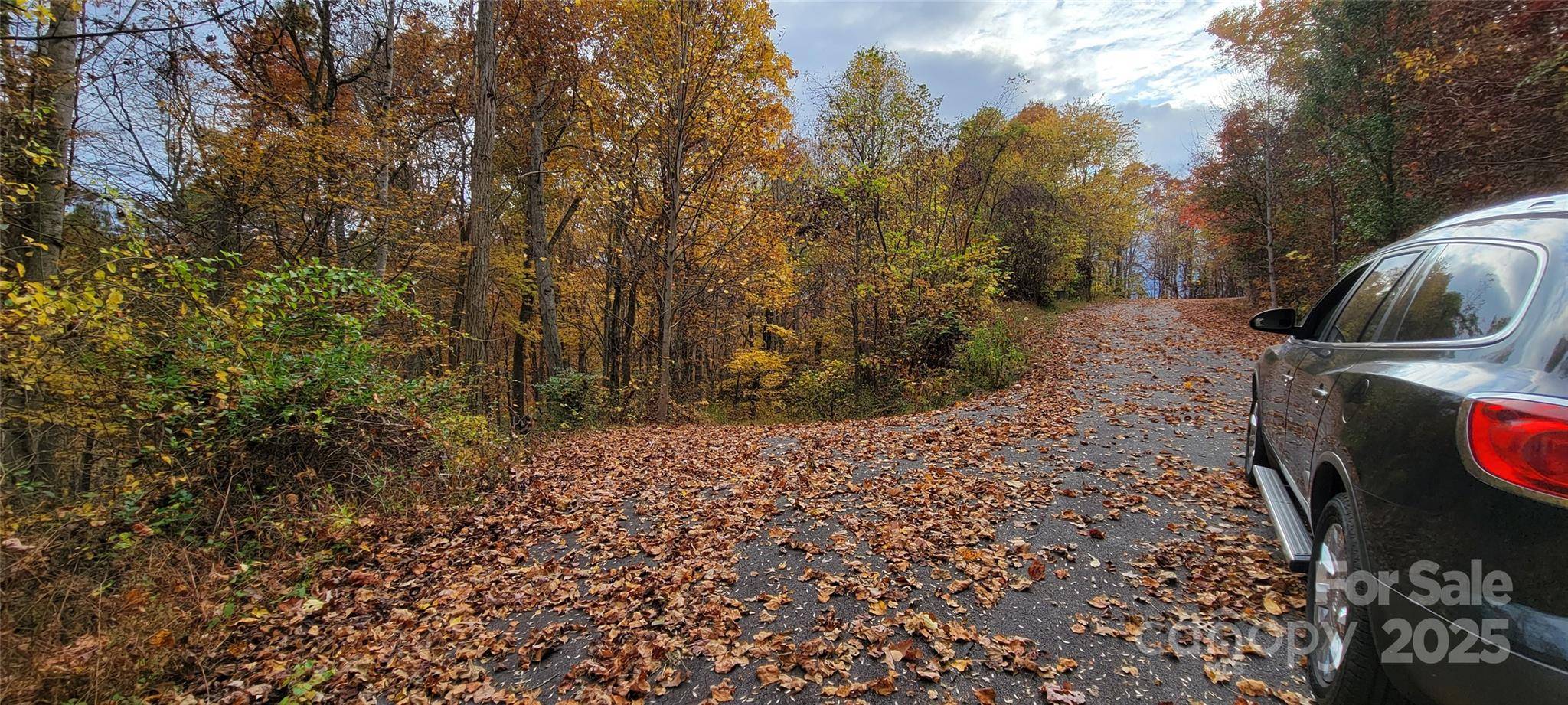 40 Rons RDG, Waynesville, NC 28785