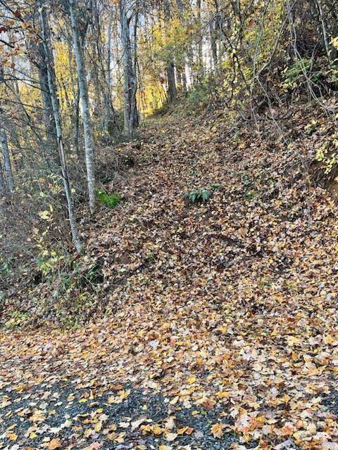 0 Whispering Winds RD, Waynesville, NC 28751