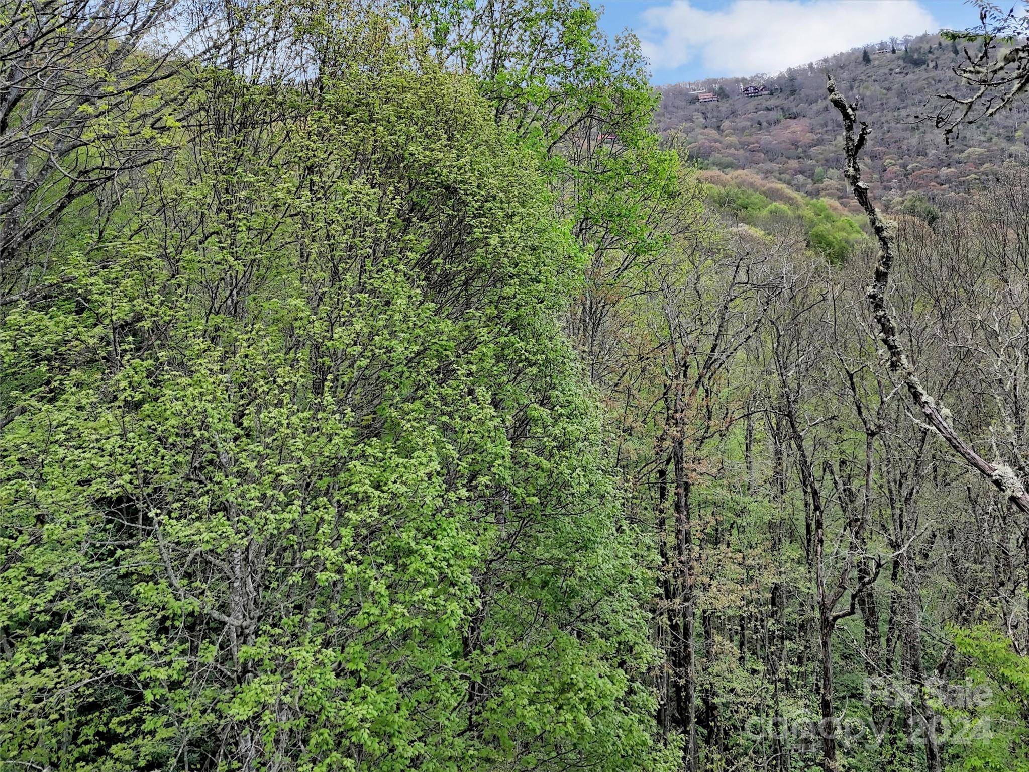 Lot 18 Quail Ridge DR, Maggie Valley, NC 28751