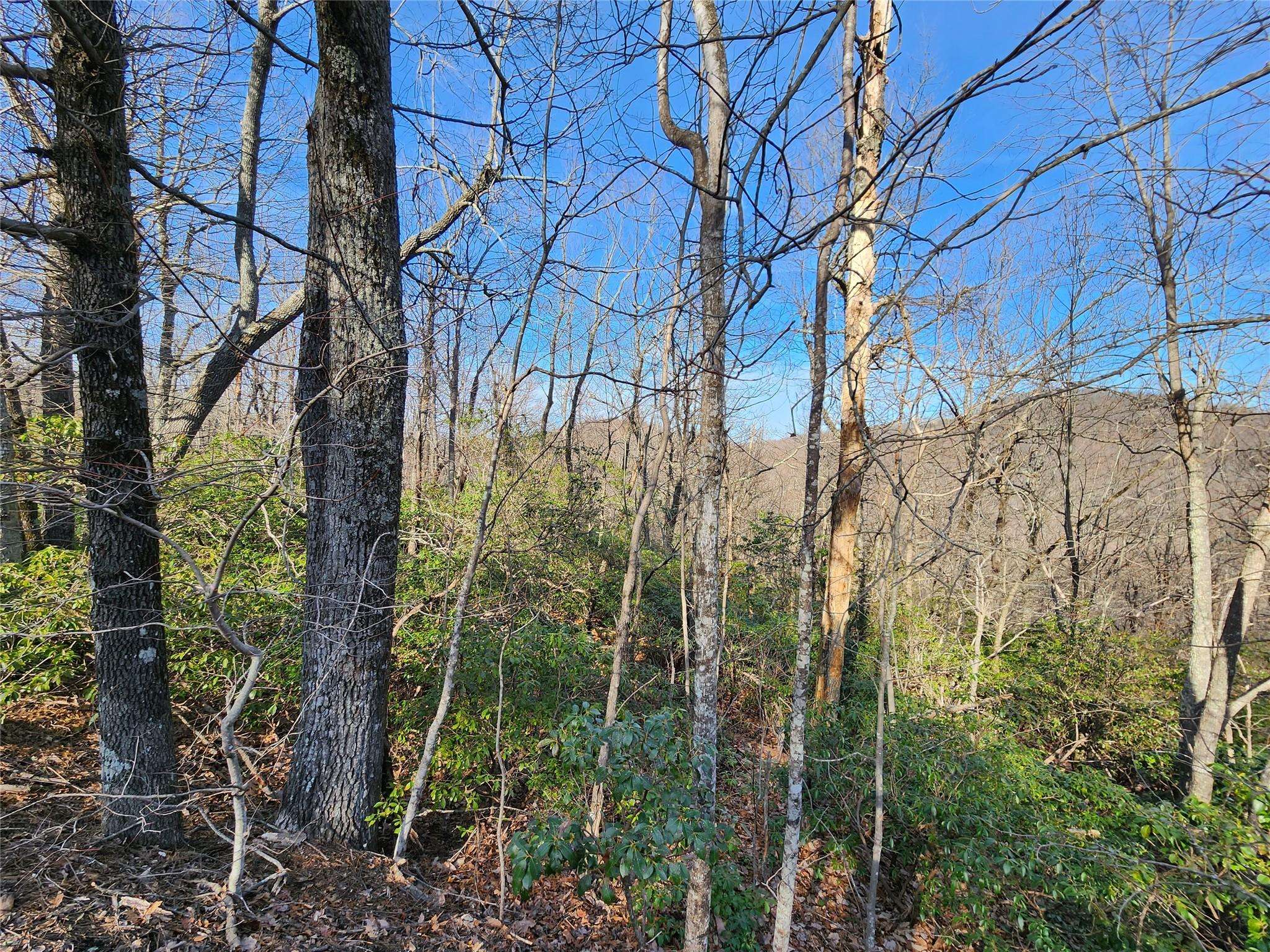 Lot 22 Sunset Ridge DR #22, Columbus, NC 28722