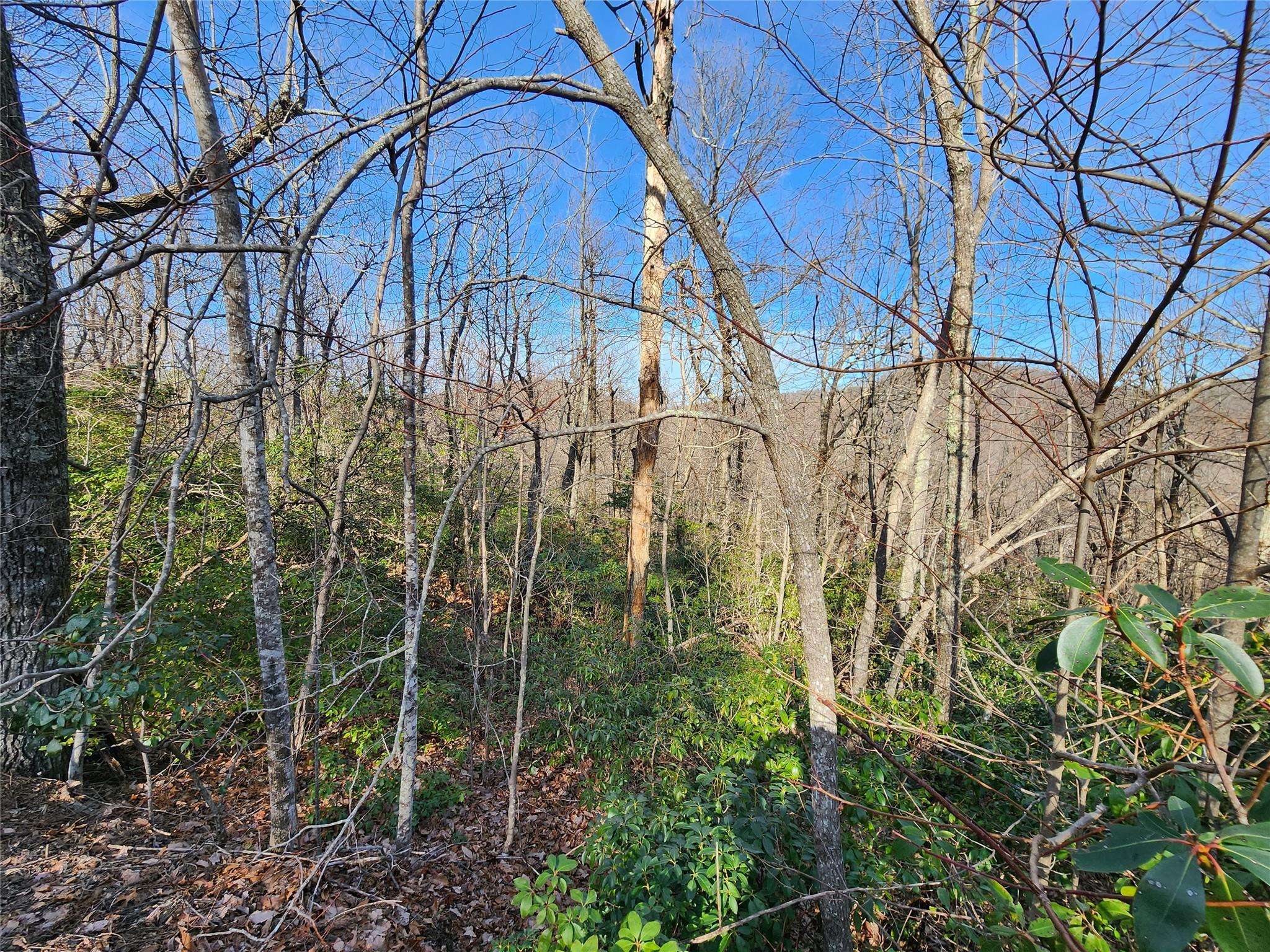 Lot 22 Sunset Ridge DR #22, Columbus, NC 28722