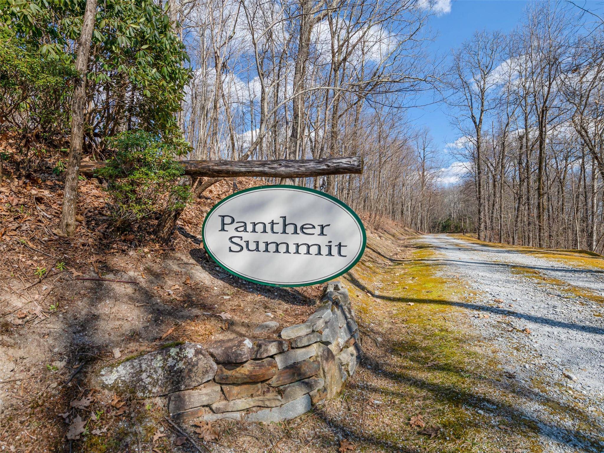P 1&2 Panther Summit DR, Lake Toxaway, NC 28747