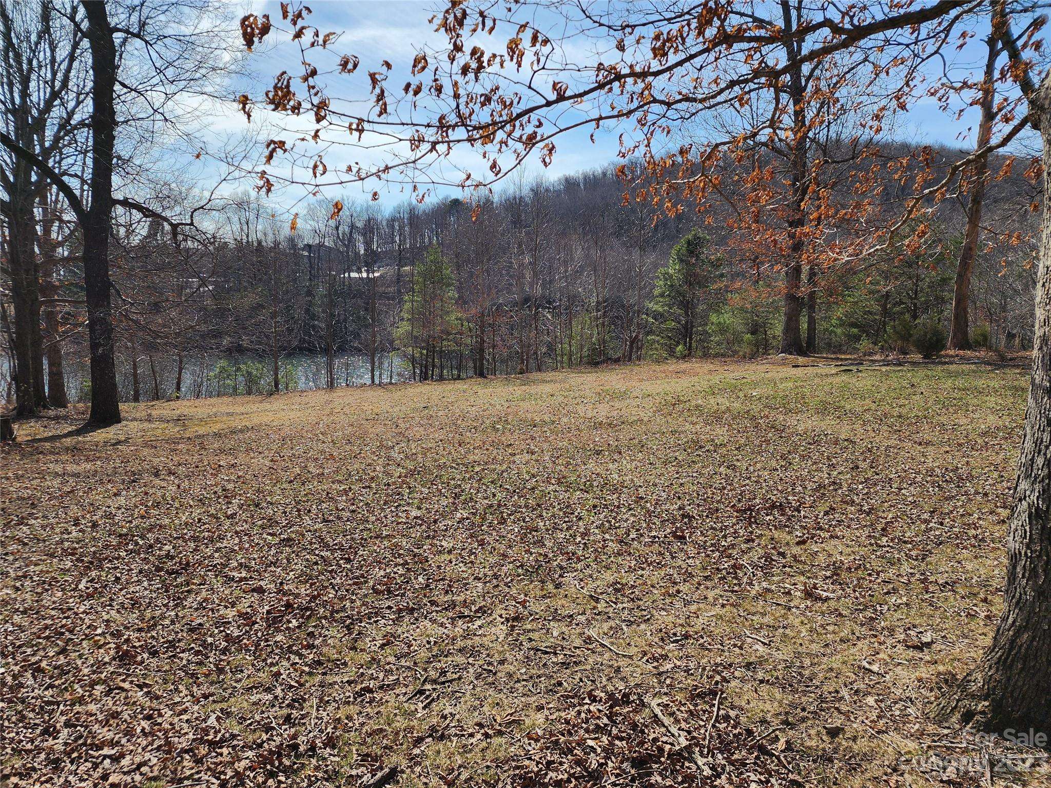 Lot 77 Three Bridges DR, Columbus, NC 28722