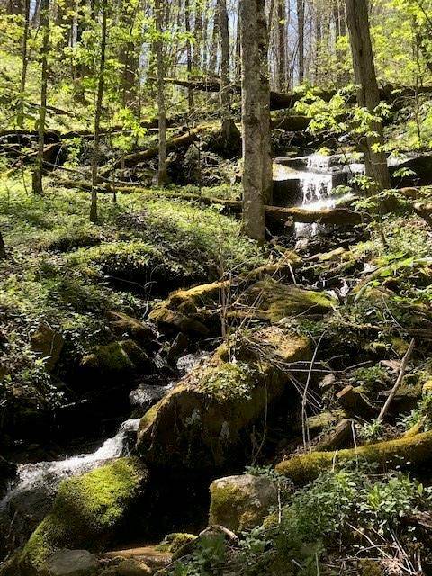 976 Slippery Rock RD, Waynesville, NC 28785