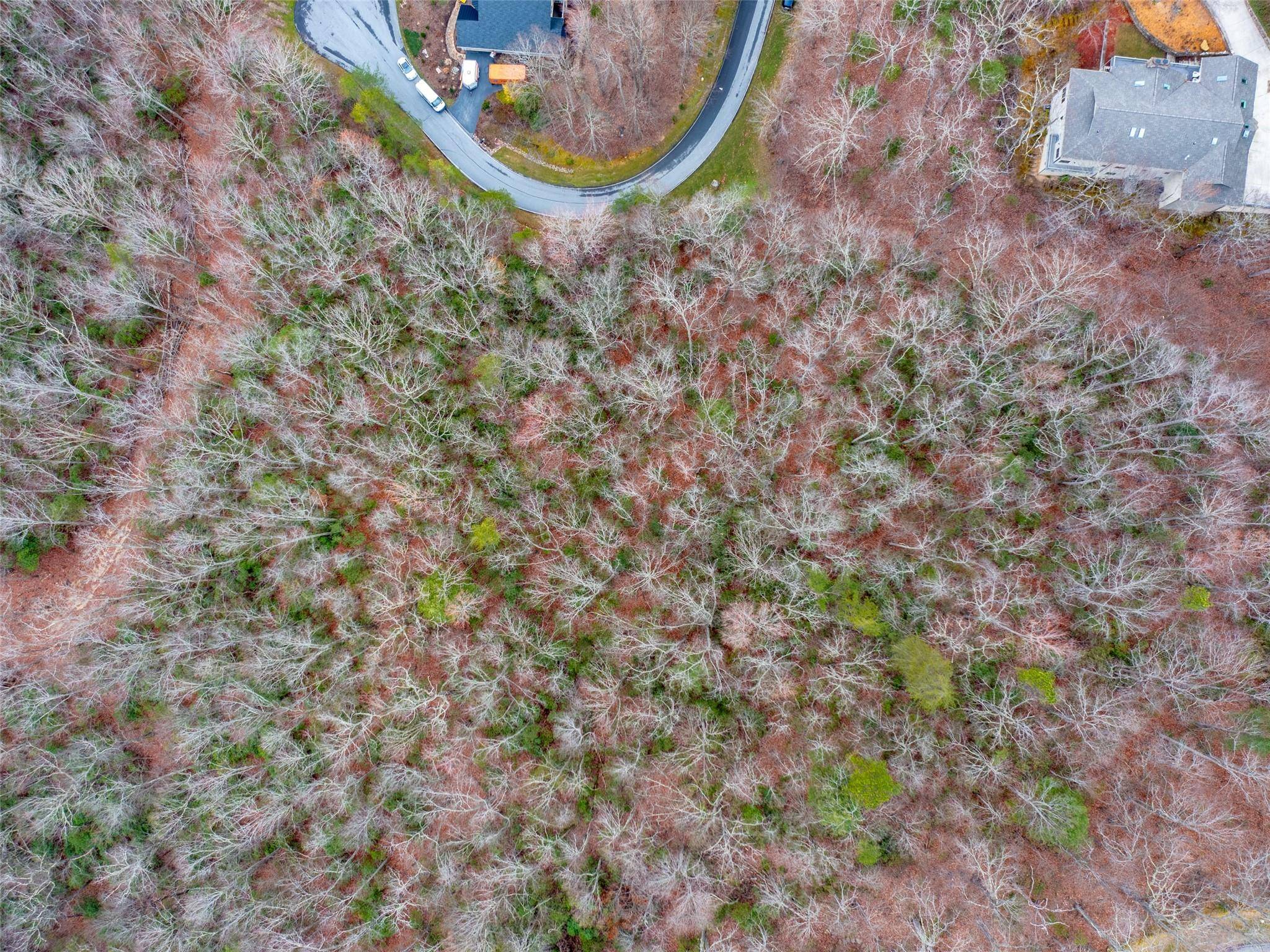 214 Chimney XING #92, Hendersonville, NC 28739