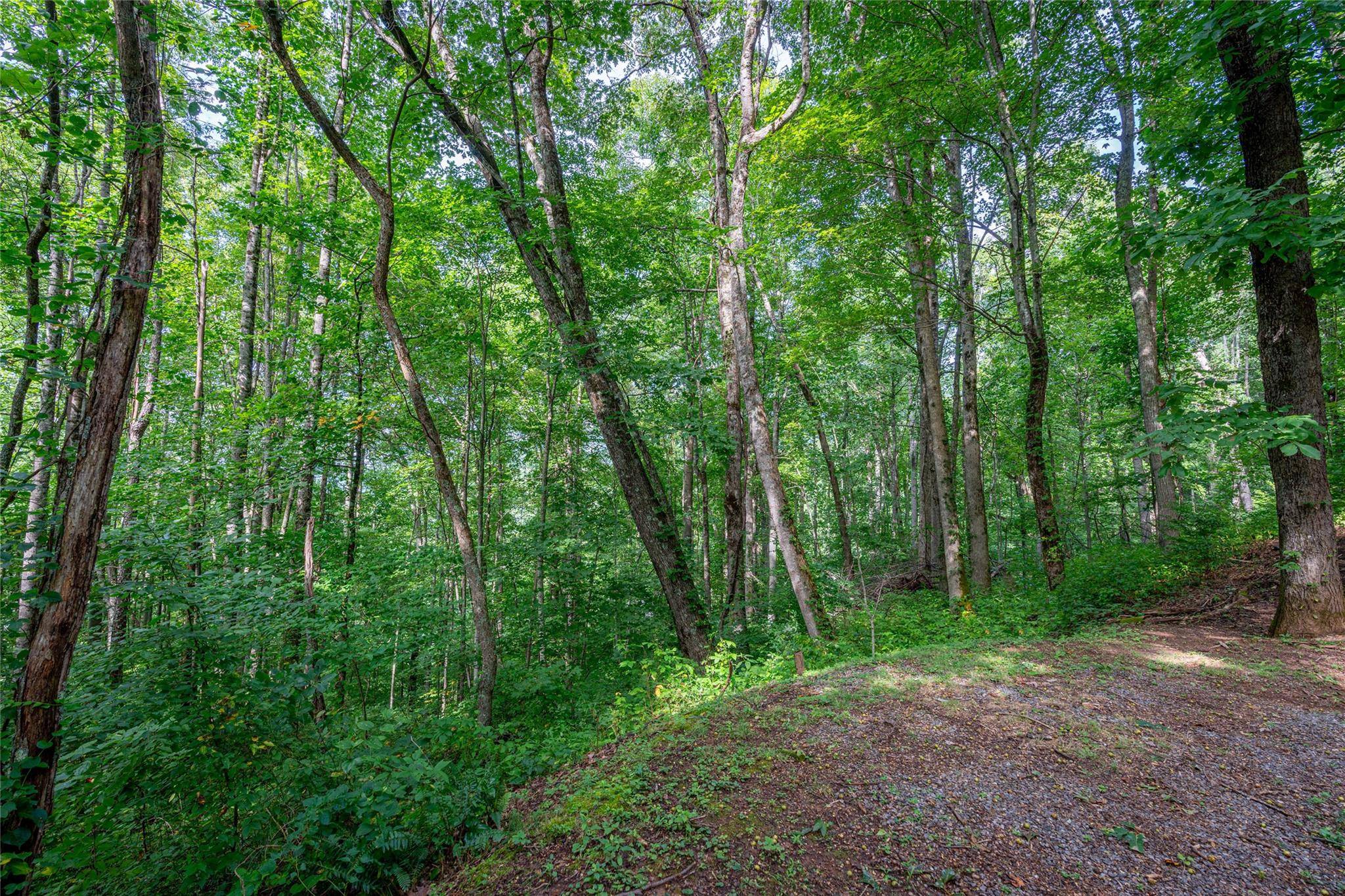 8 Resurrection LN #8, Sylva, NC 28779