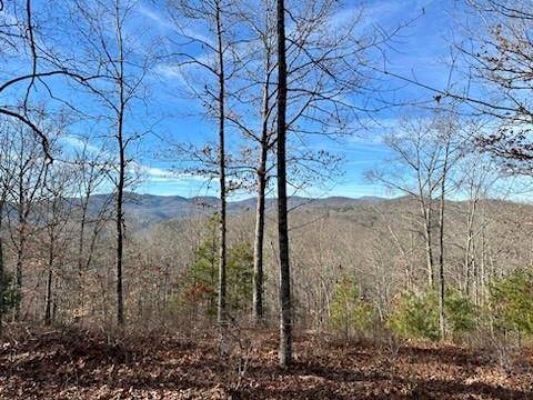 305 Raccoon RUN #25, Marshall, NC 28753