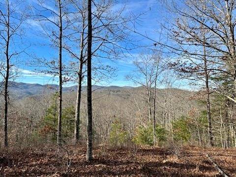 305 Raccoon RUN #25, Marshall, NC 28753