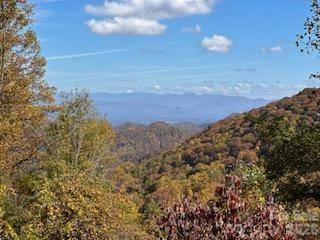580 Freemont DR #80, Leicester, NC 28748