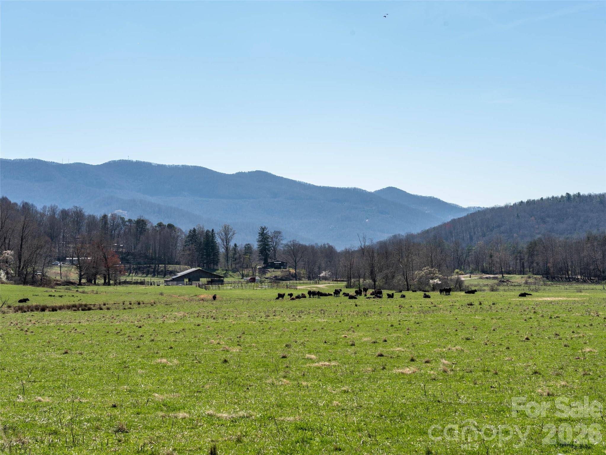 26 Great Aspen WAY, Black Mountain, NC 28711