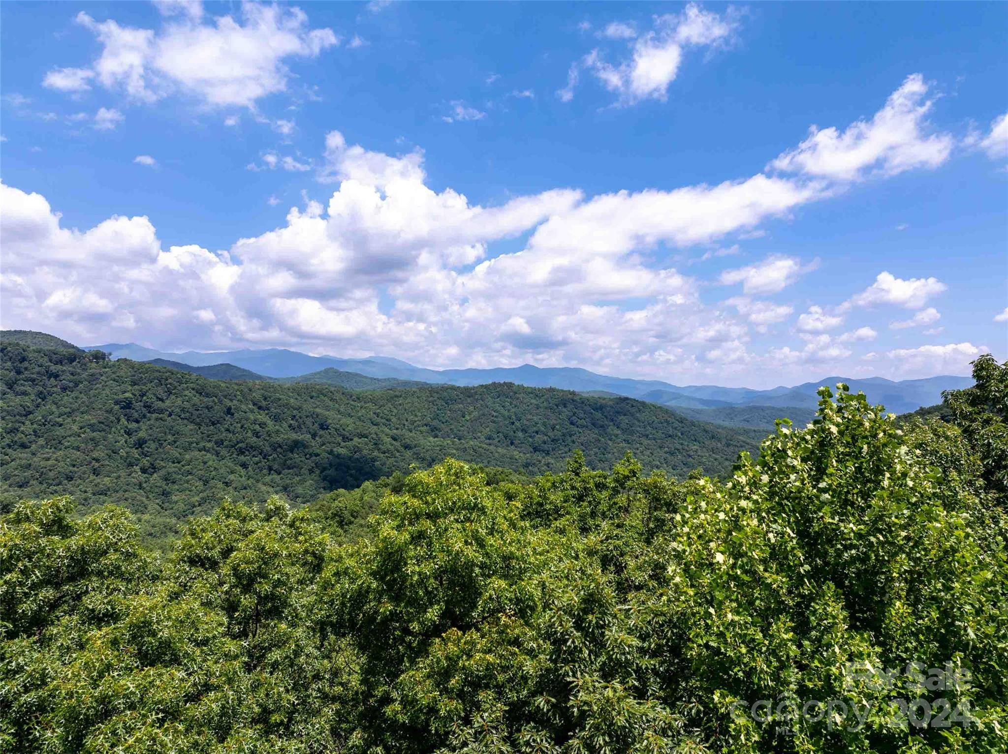 561 N Haven DR #T-52, Black Mountain, NC 28711