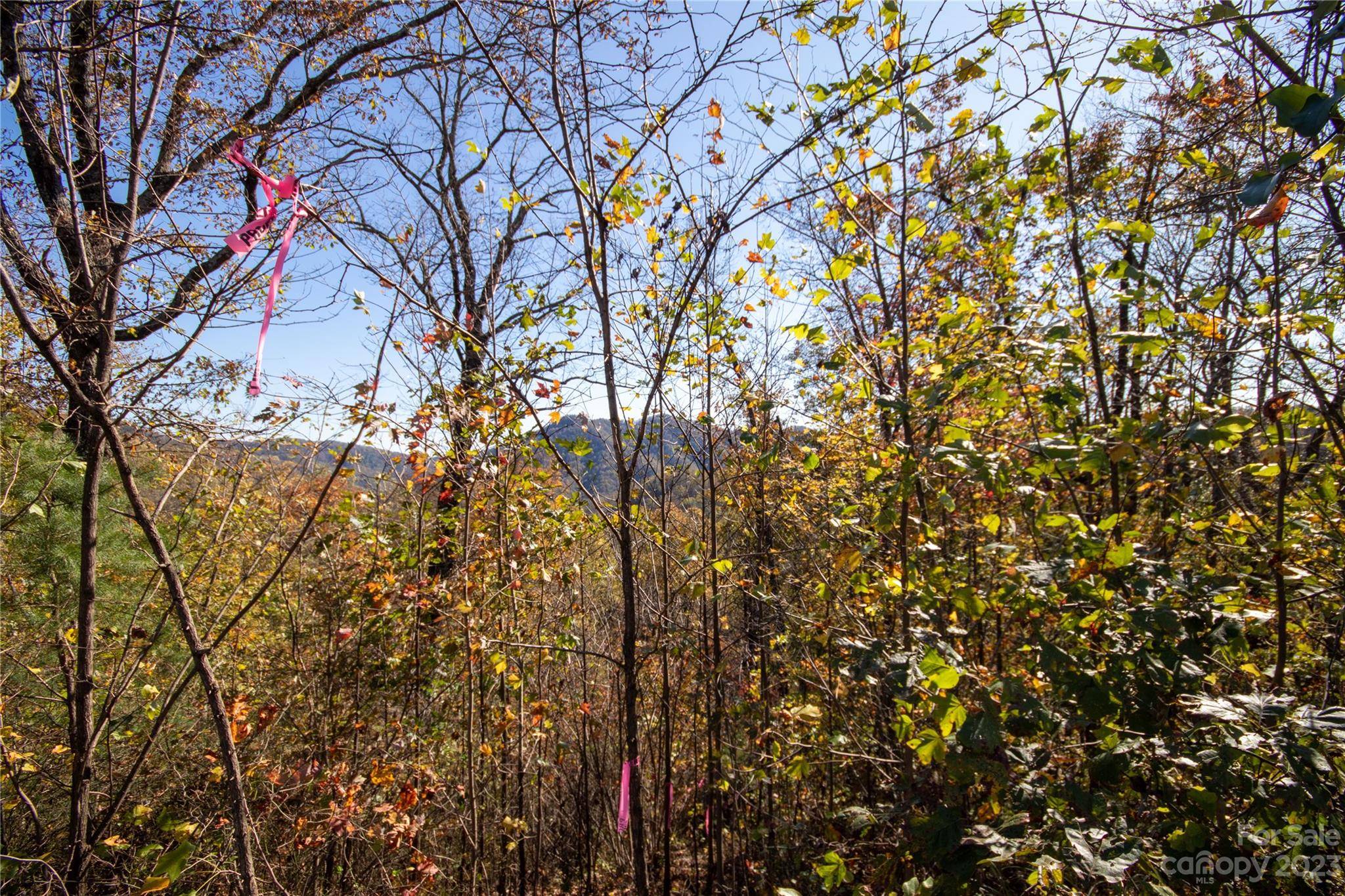Lot# 547 Autumn RDG #547, Lenoir, NC 28645