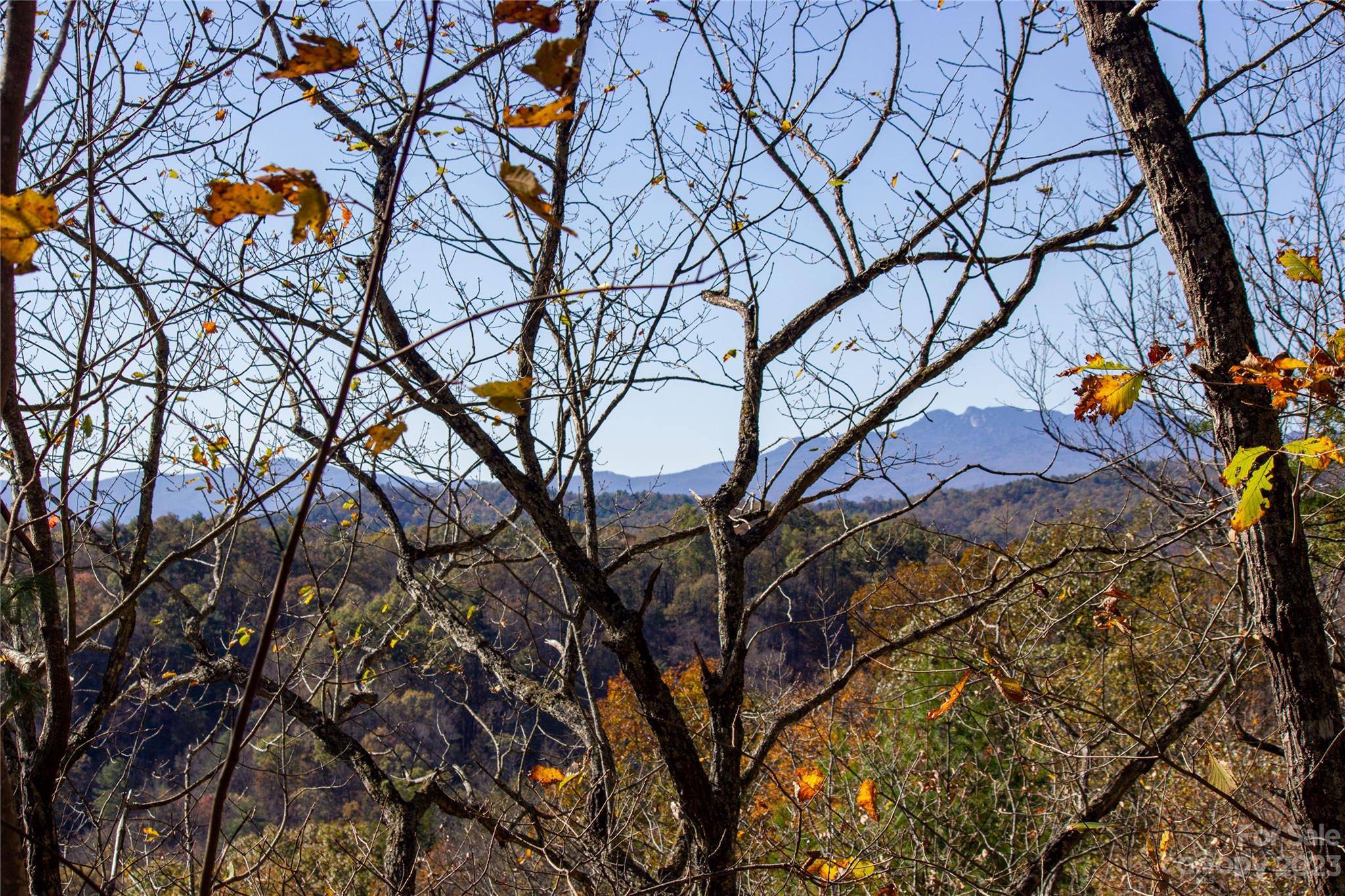 Lot# 547 Autumn RDG #547, Lenoir, NC 28645
