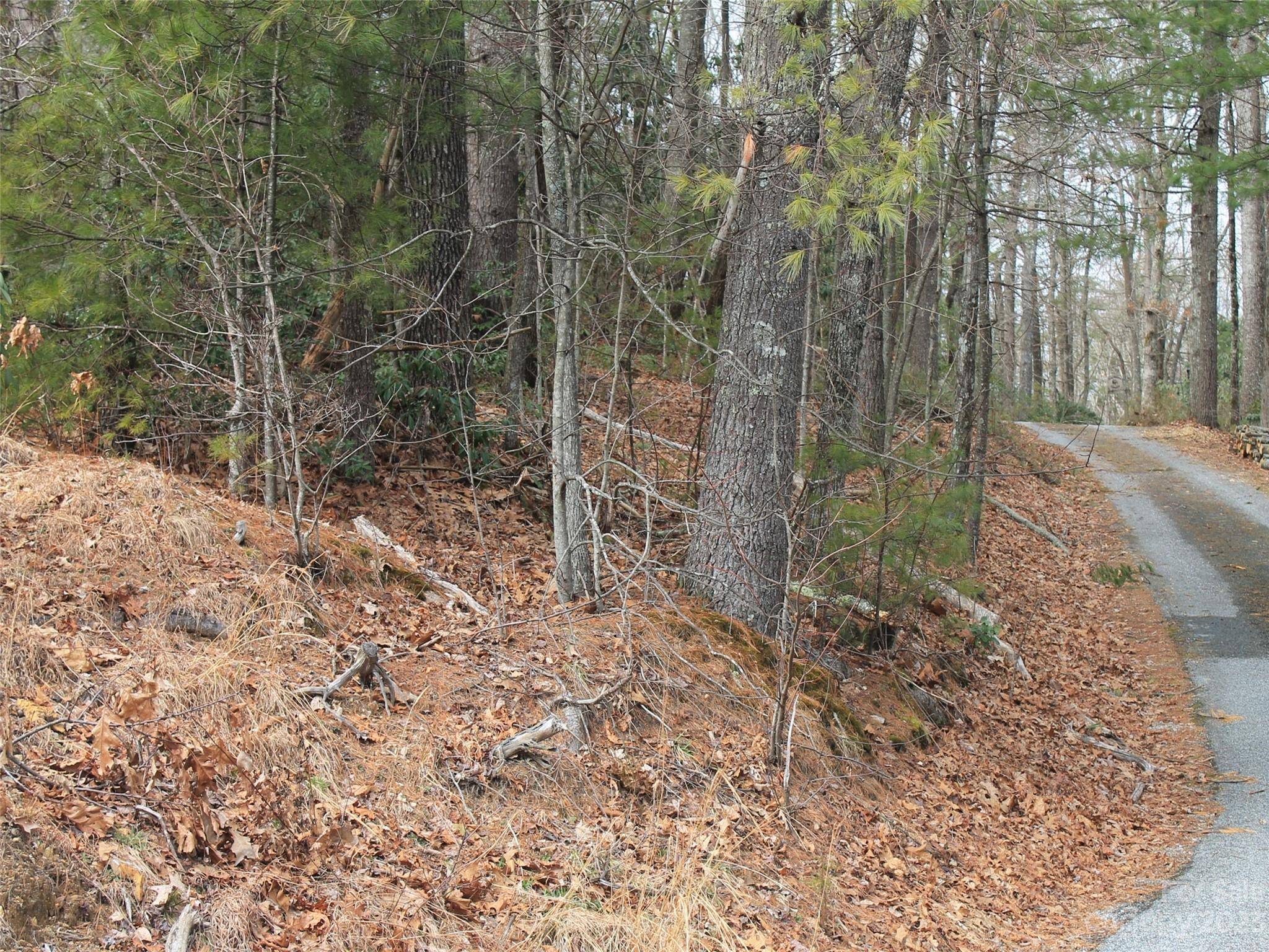 0000 Wildlife TRL #.84 ACRES, Hendersonville, NC 28739