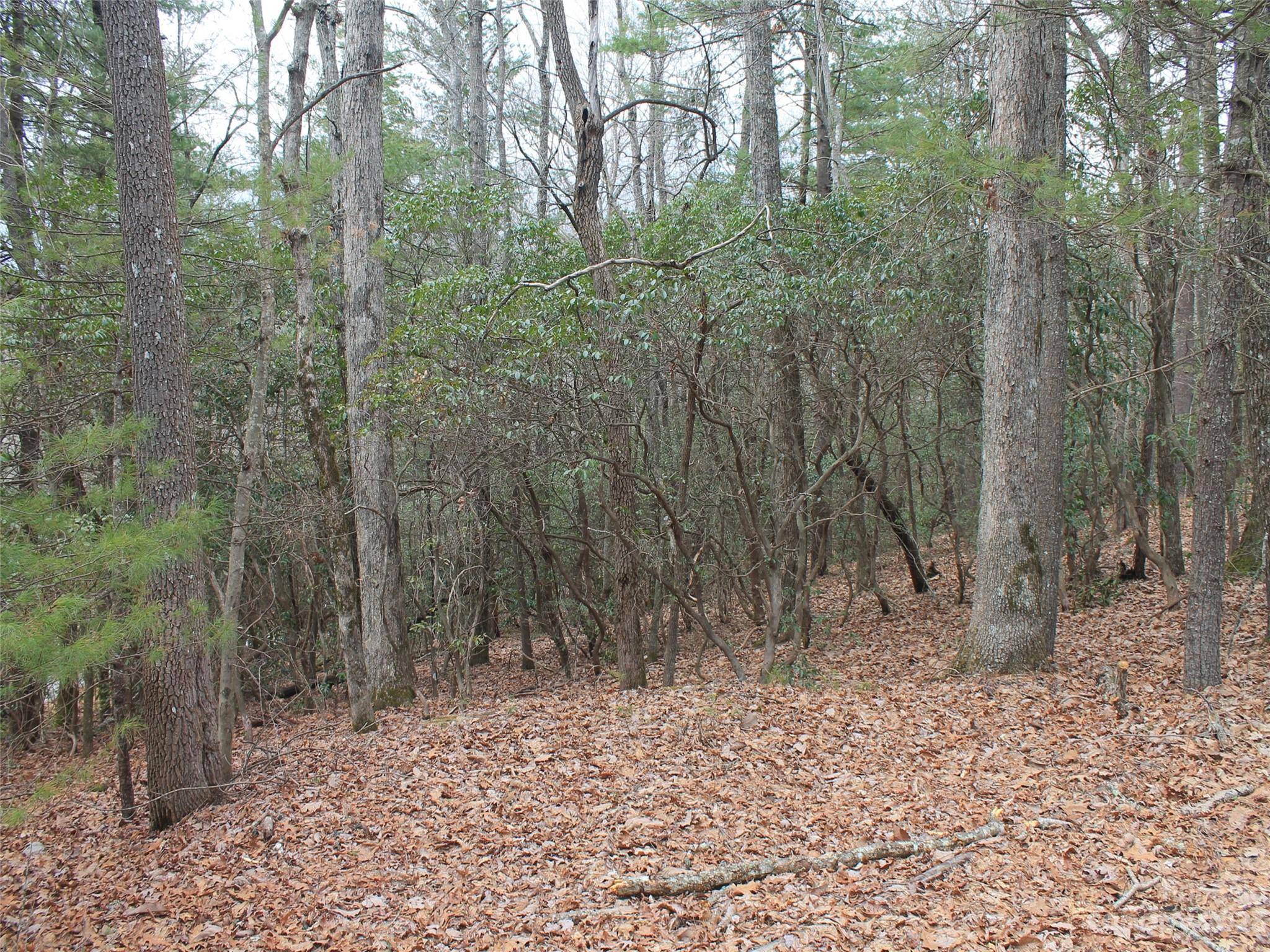 0000 Wildlife TRL #.84 ACRES, Hendersonville, NC 28739