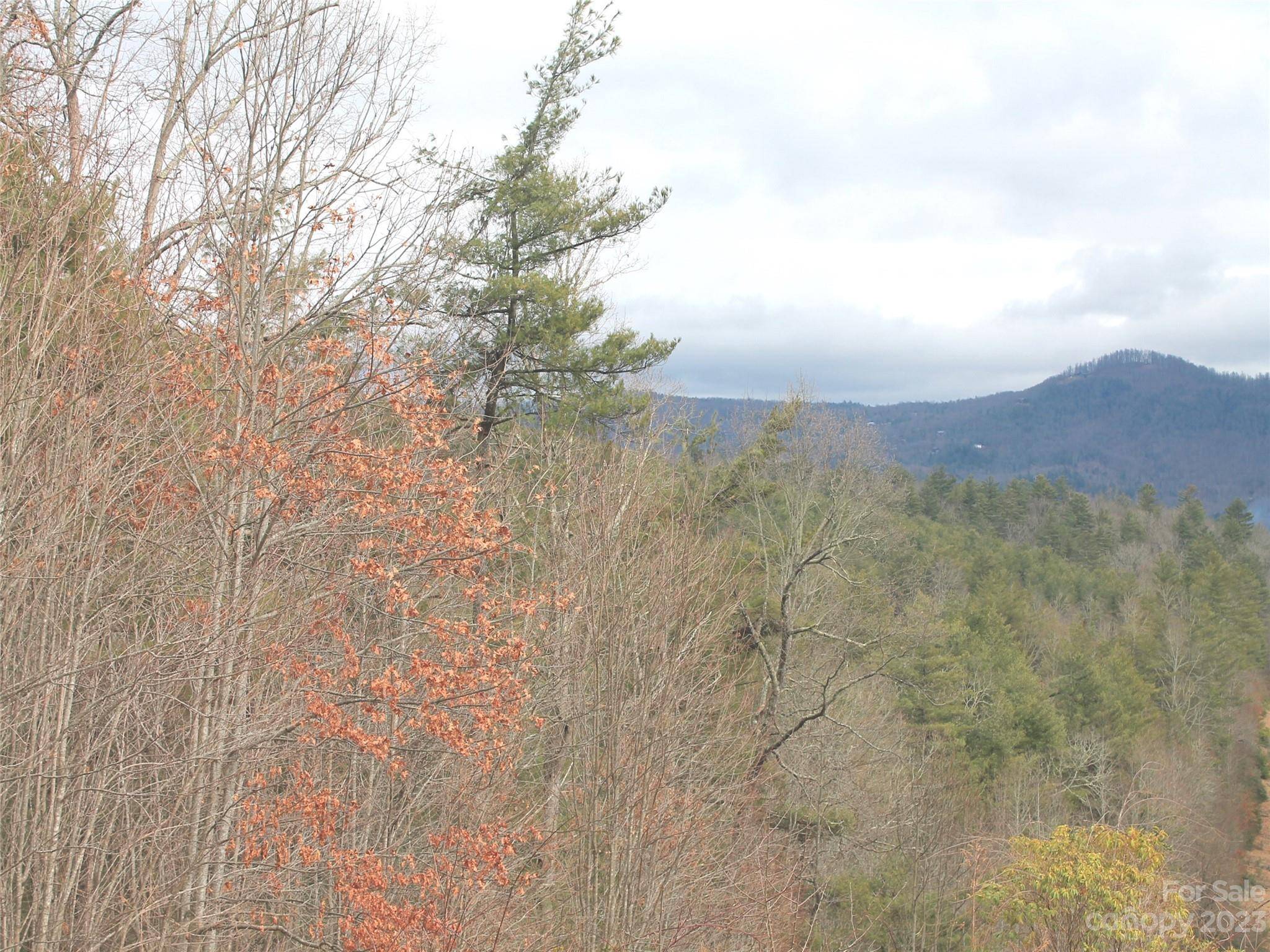0000 Wildlife TRL #.84 ACRES, Hendersonville, NC 28739