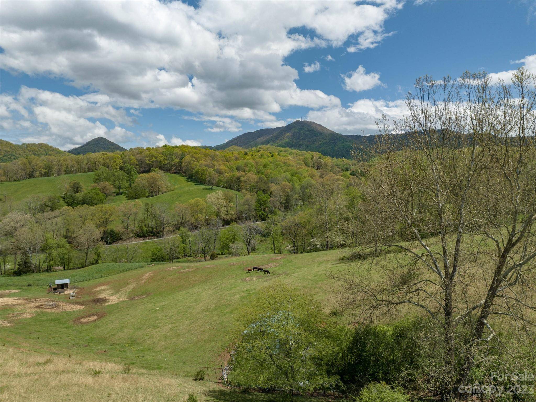 #4 Sunny Hill LN, Clyde, NC 28721
