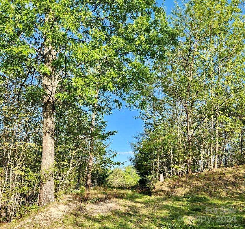 391 Red Fox TRL #16, Marshall, NC 28753