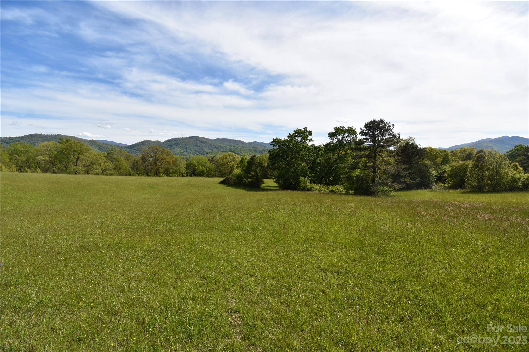 Land Off Ransom RD, Clyde, NC 28721