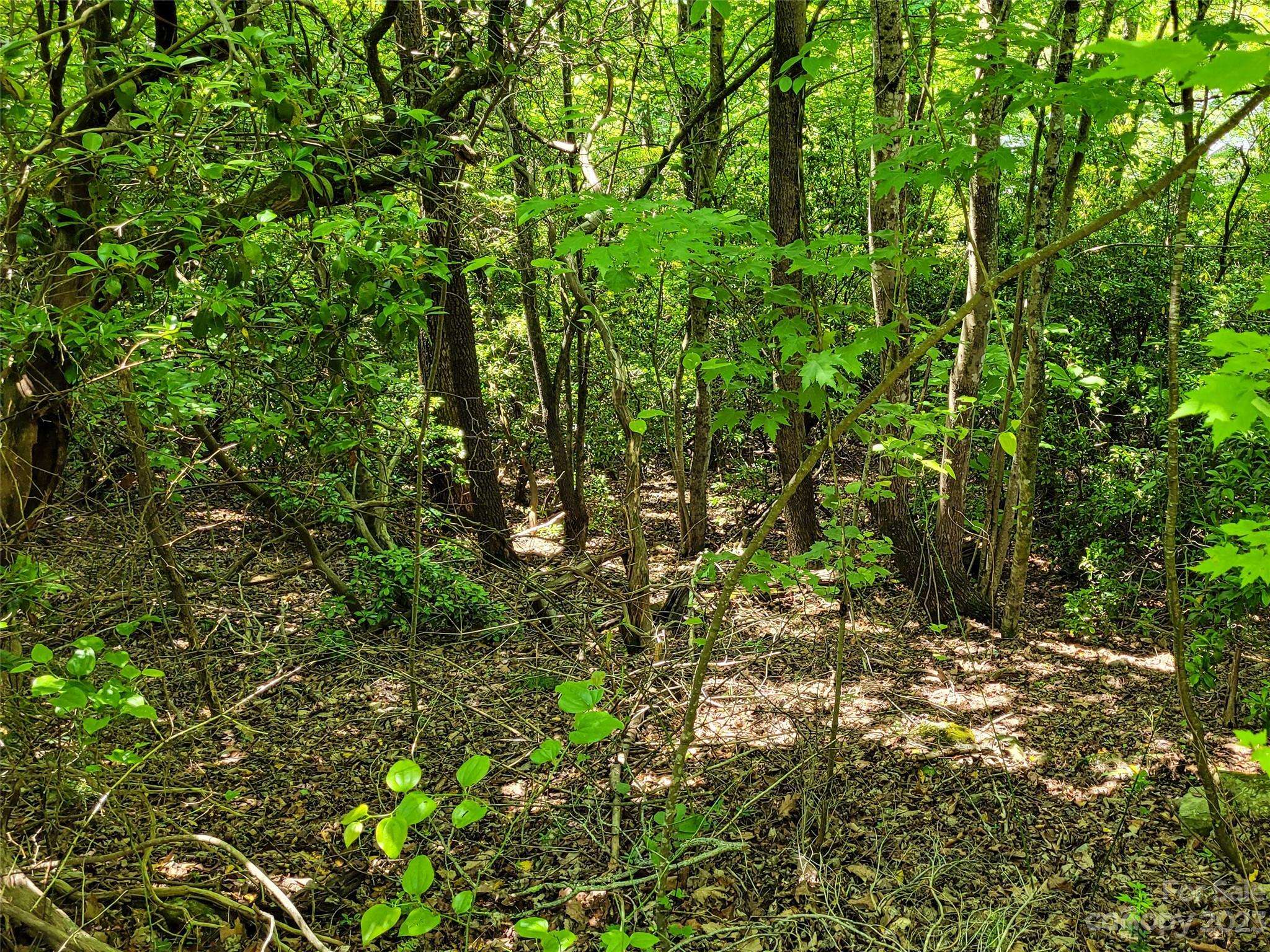 216 BENT PINE TRCE #174, Hendersonville, NC 28739