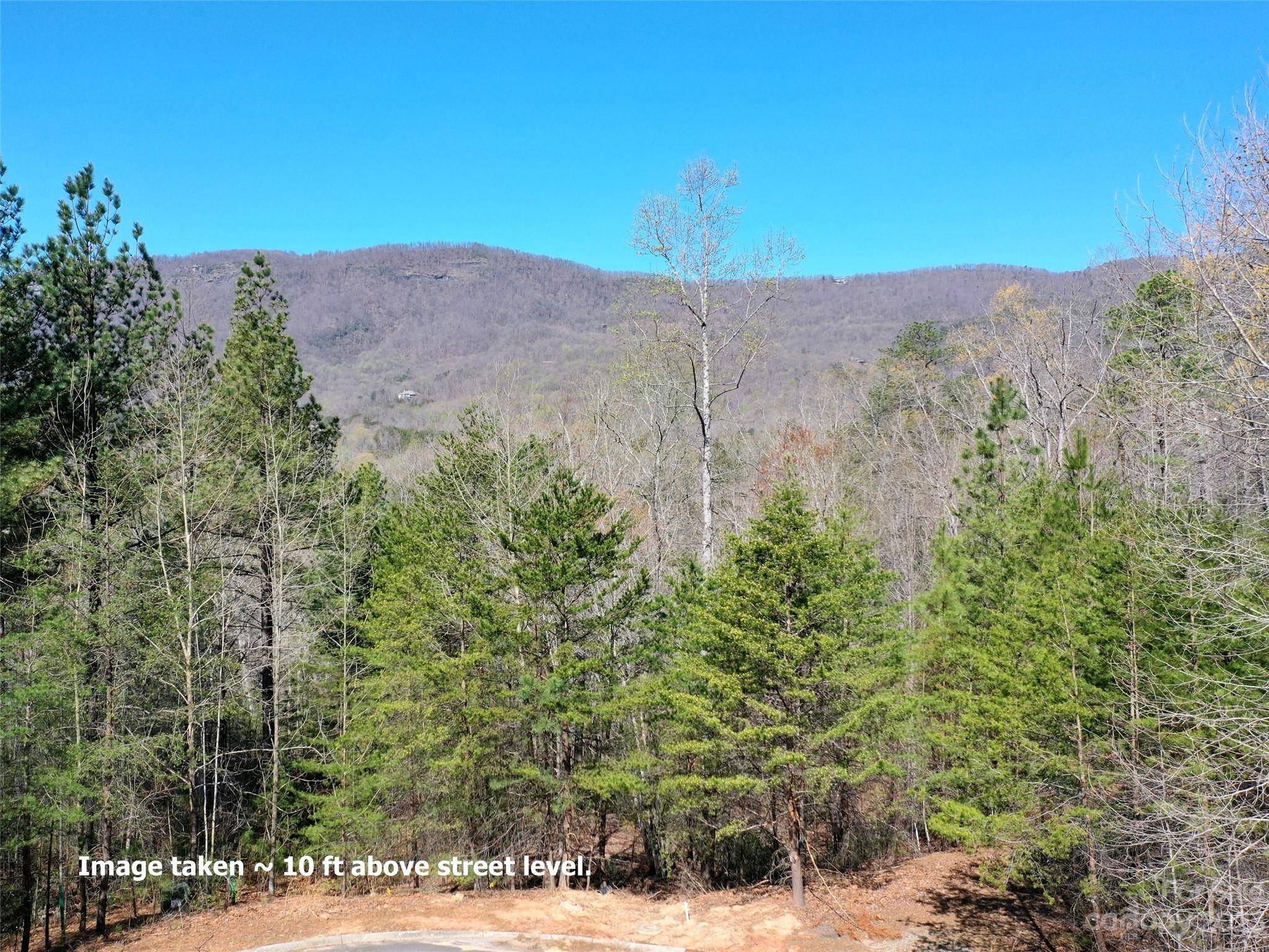 LOT 25 Monteith PL, Mill Spring, NC 28756