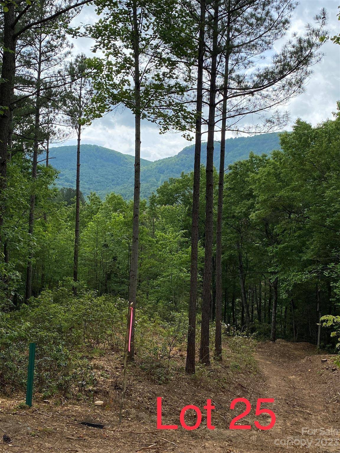 LOT 25 Monteith PL, Mill Spring, NC 28756