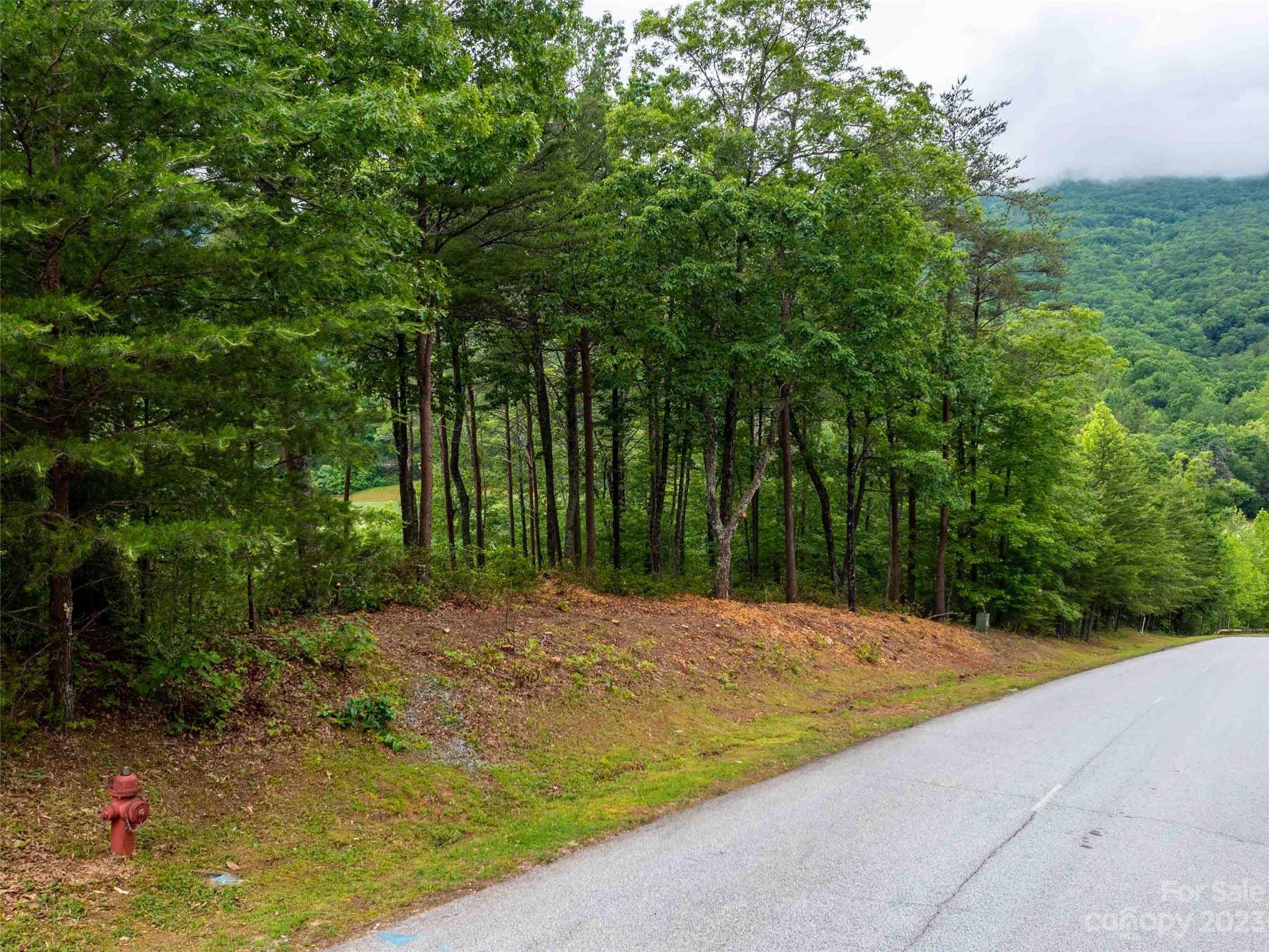LOT 43 Deep Gap Farm RD E, Mill Spring, NC 28756