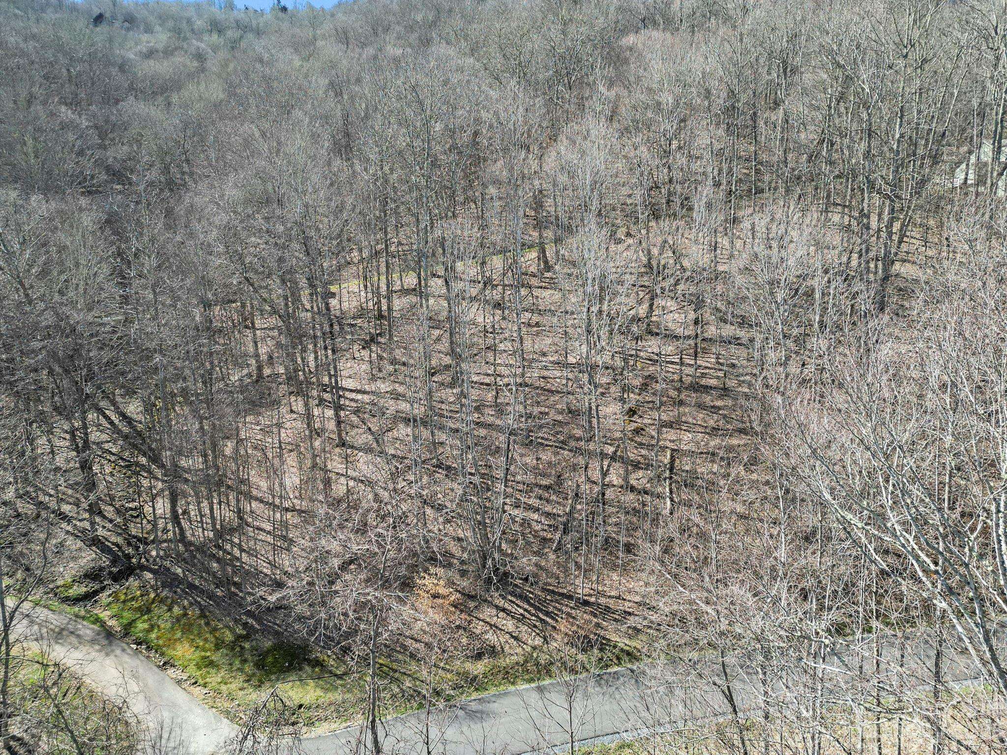 3 Chestnut Village LN #3A, Mars Hill, NC 28754