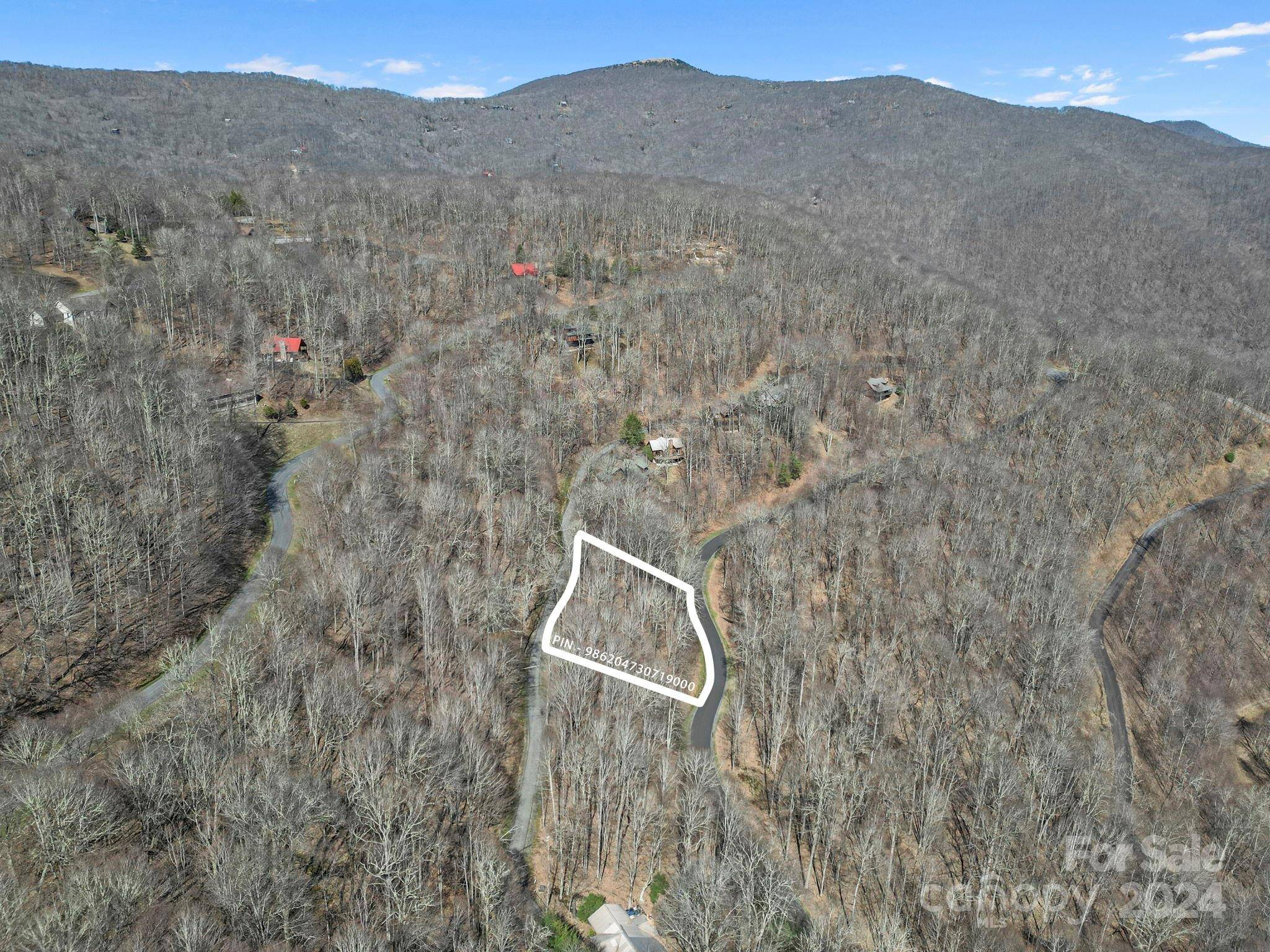10 Chestnut Village LN #9 & 10, Mars Hill, NC 28754