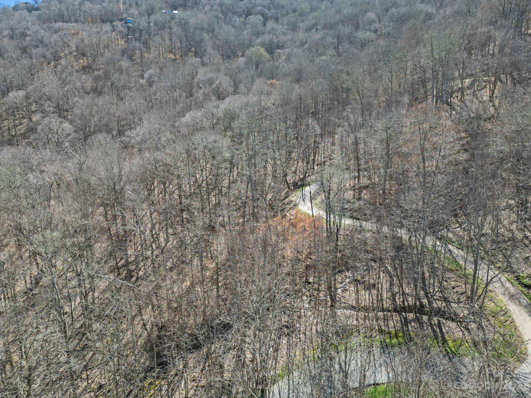 16 Chestnut Village LN #16, Mars Hill, NC 28754