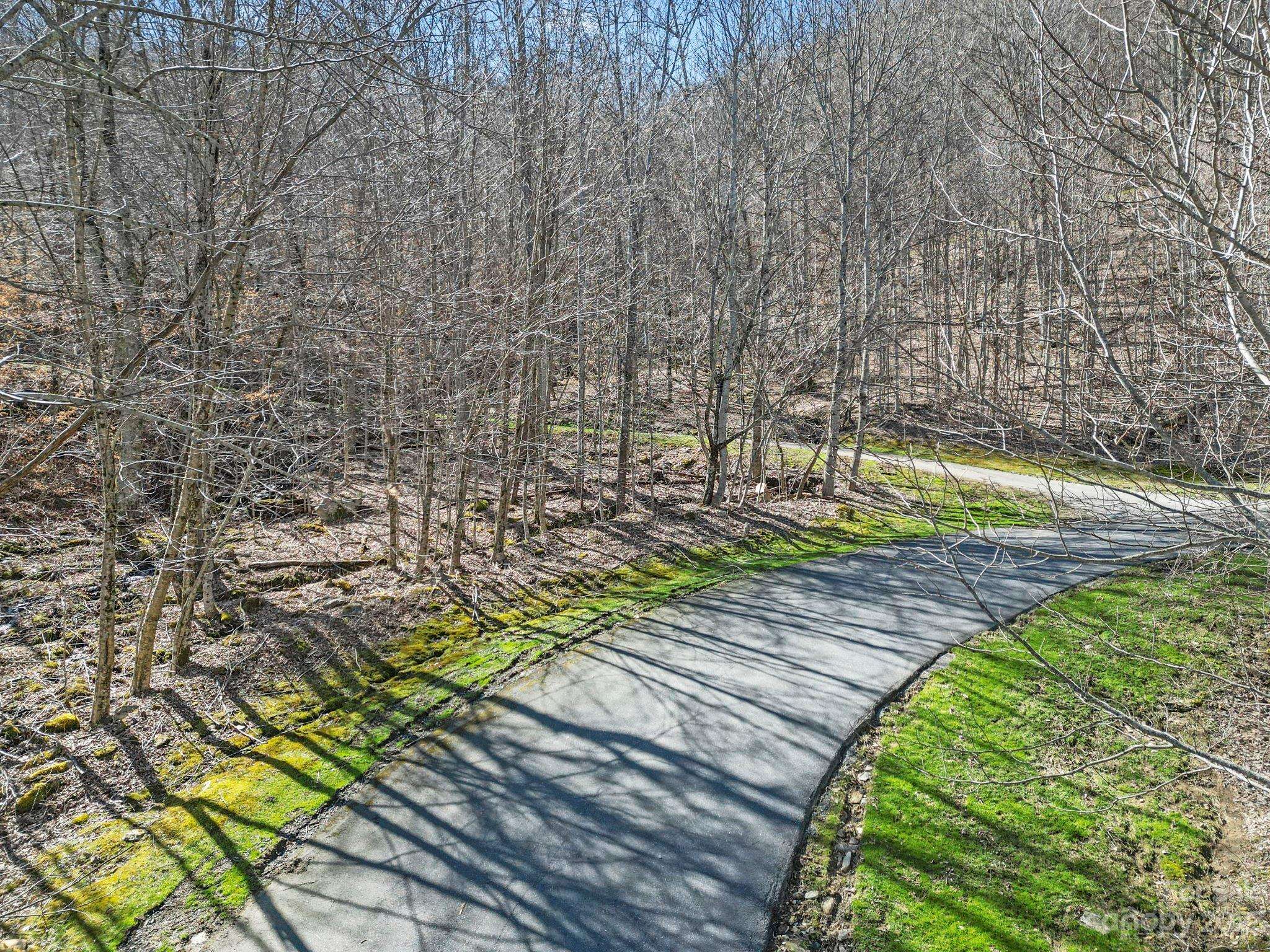 16 Chestnut Village LN #16, Mars Hill, NC 28754