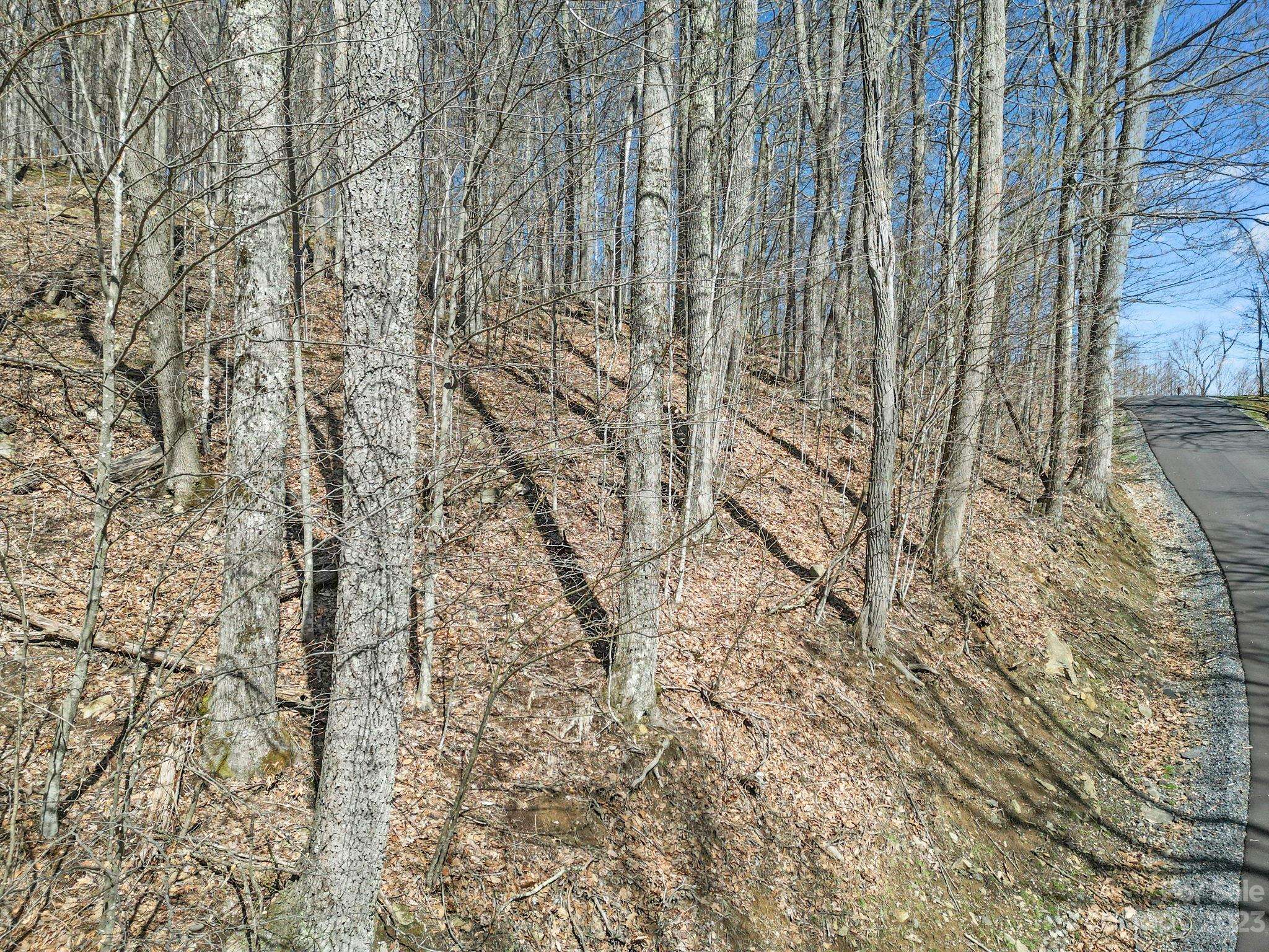 16 Chestnut Village LN #16, Mars Hill, NC 28754