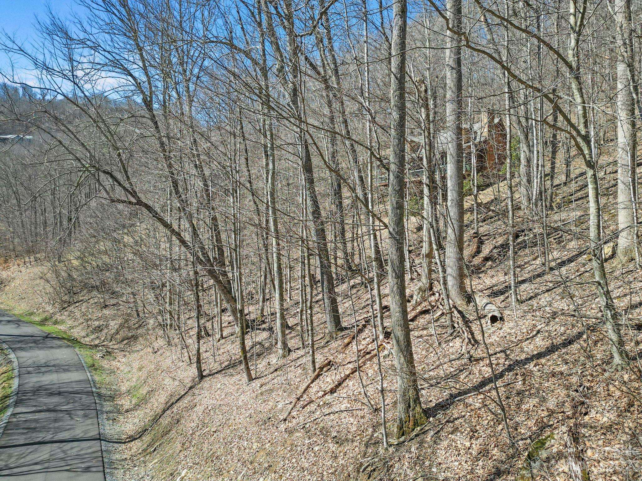 18 Chestnut Village LN ##18, Mars Hill, NC 28754